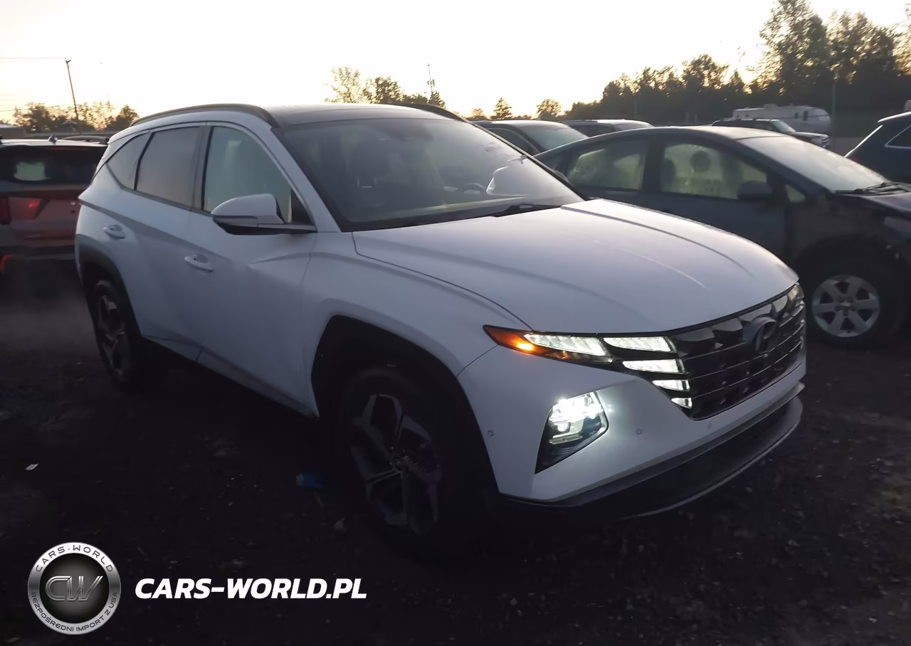 2023 Hyundai Tucson Limited VIN:5NMJECAE2PH293640 - 1