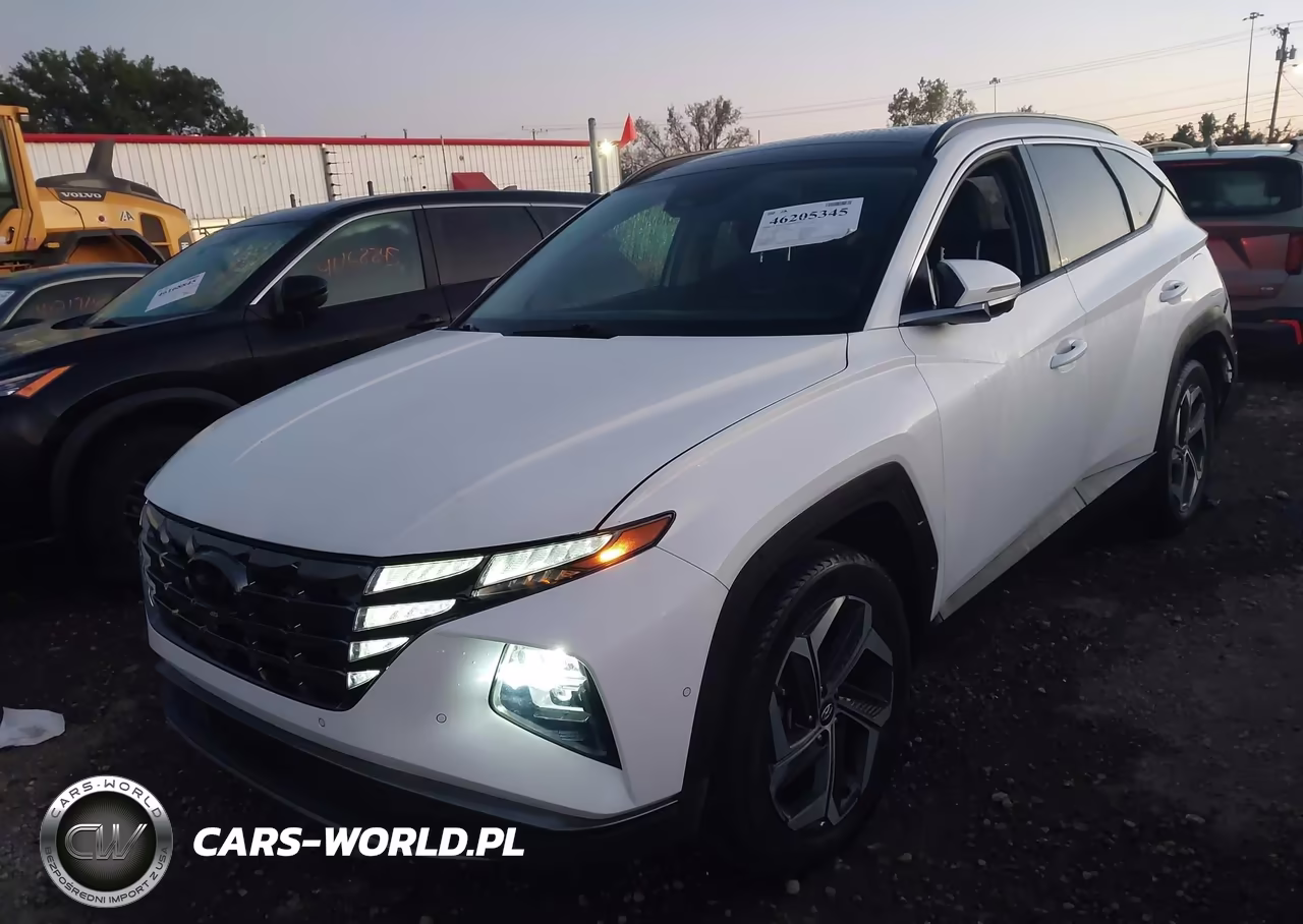 2023 Hyundai Tucson Limited VIN:5NMJECAE2PH293640 - 12