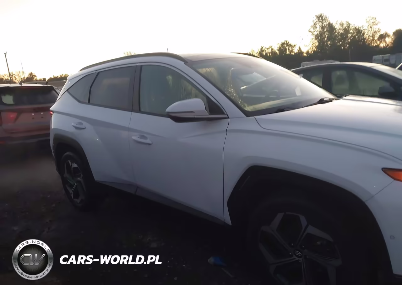 2023 Hyundai Tucson Limited VIN:5NMJECAE2PH293640 - 13
