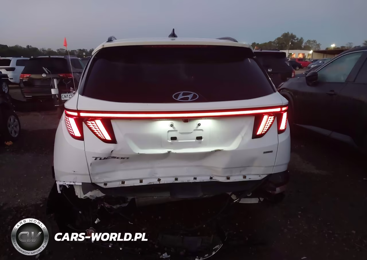 2023 Hyundai Tucson Limited VIN:5NMJECAE2PH293640 - 16