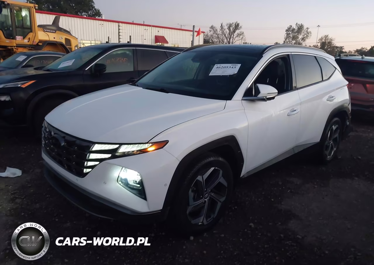 2023 Hyundai Tucson Limited VIN:5NMJECAE2PH293640 - 2