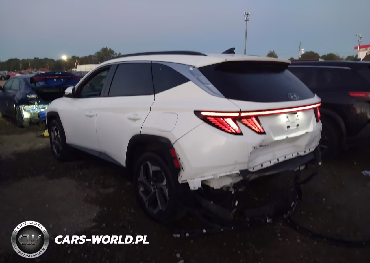 2023 Hyundai Tucson Limited VIN:5NMJECAE2PH293640 - 3