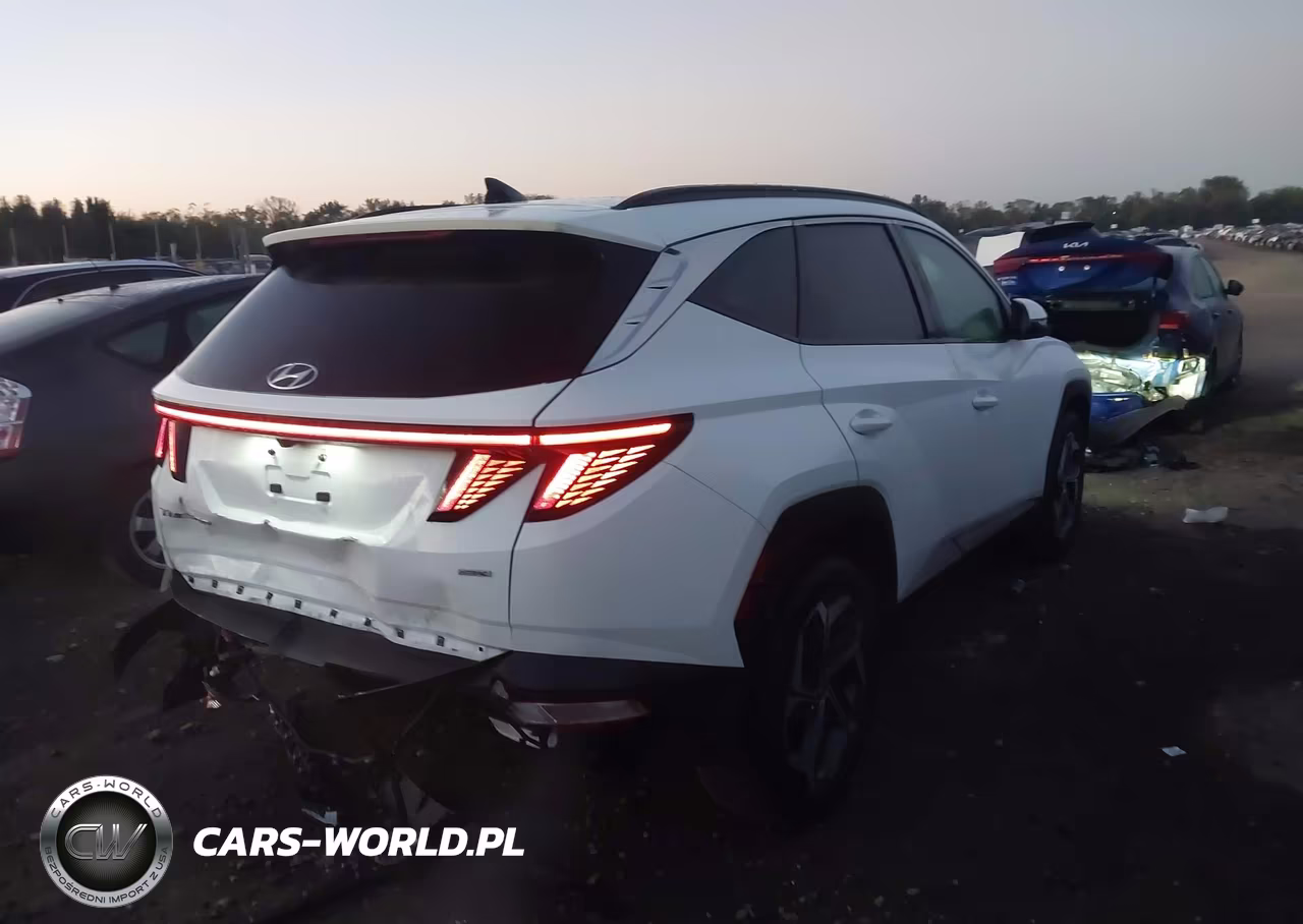 2023 Hyundai Tucson Limited VIN:5NMJECAE2PH293640 - 4
