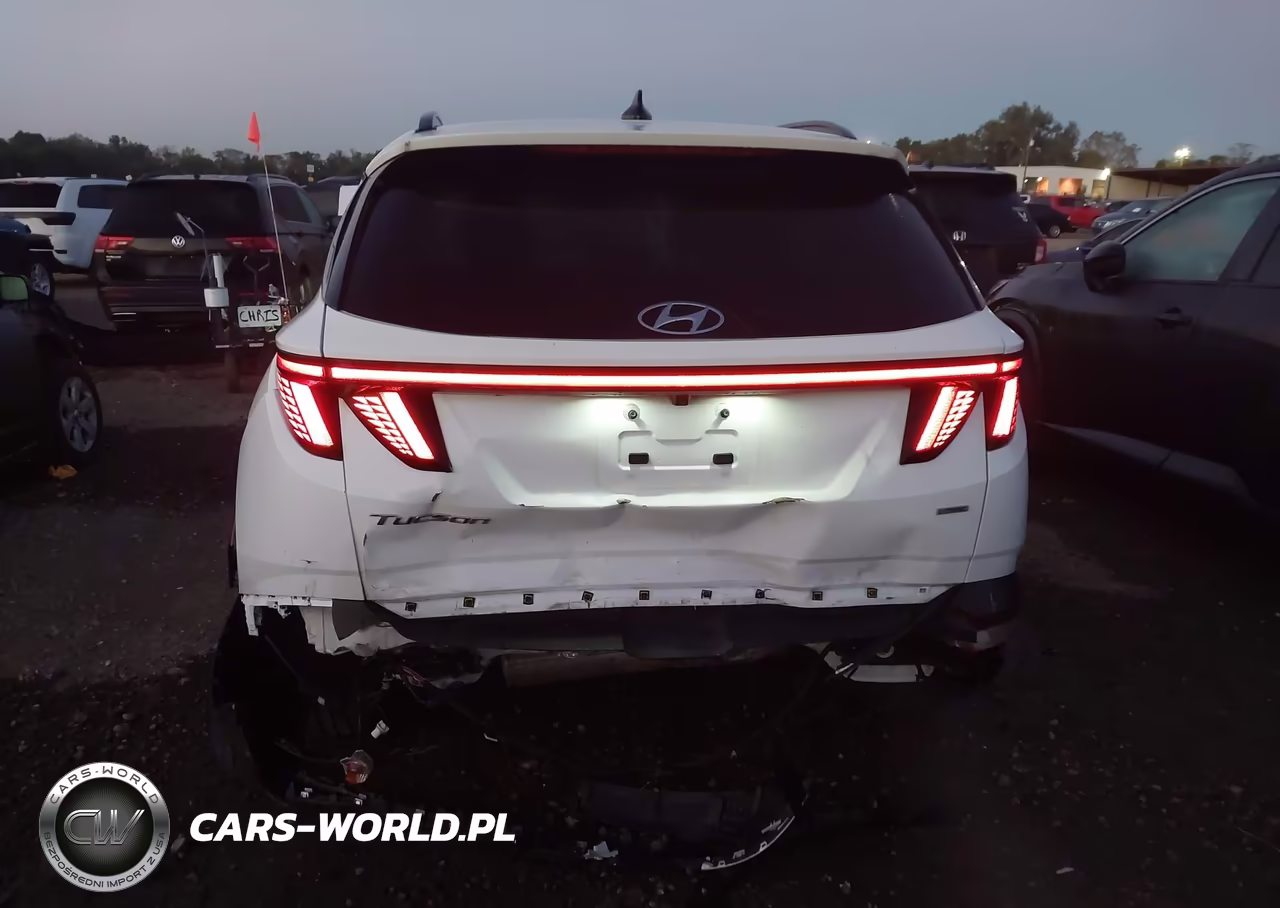 2023 Hyundai Tucson Limited VIN:5NMJECAE2PH293640 - 6