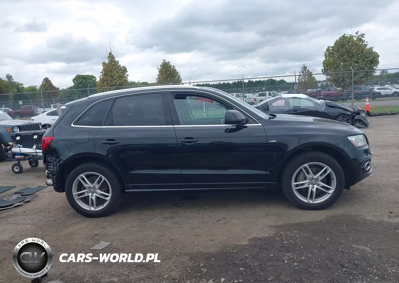 2013 Audi Q5 Premium Plus VIN:WA1DGAFP5DA031424 - 13