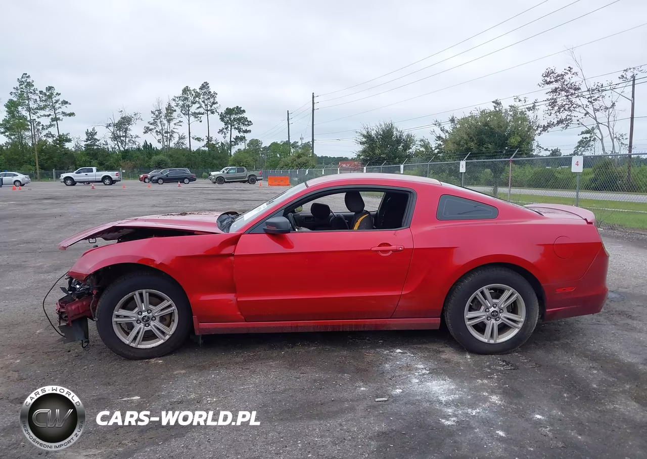 2013 Ford Mustang V6 VIN:1ZVBP8AM7D5257991 - 14