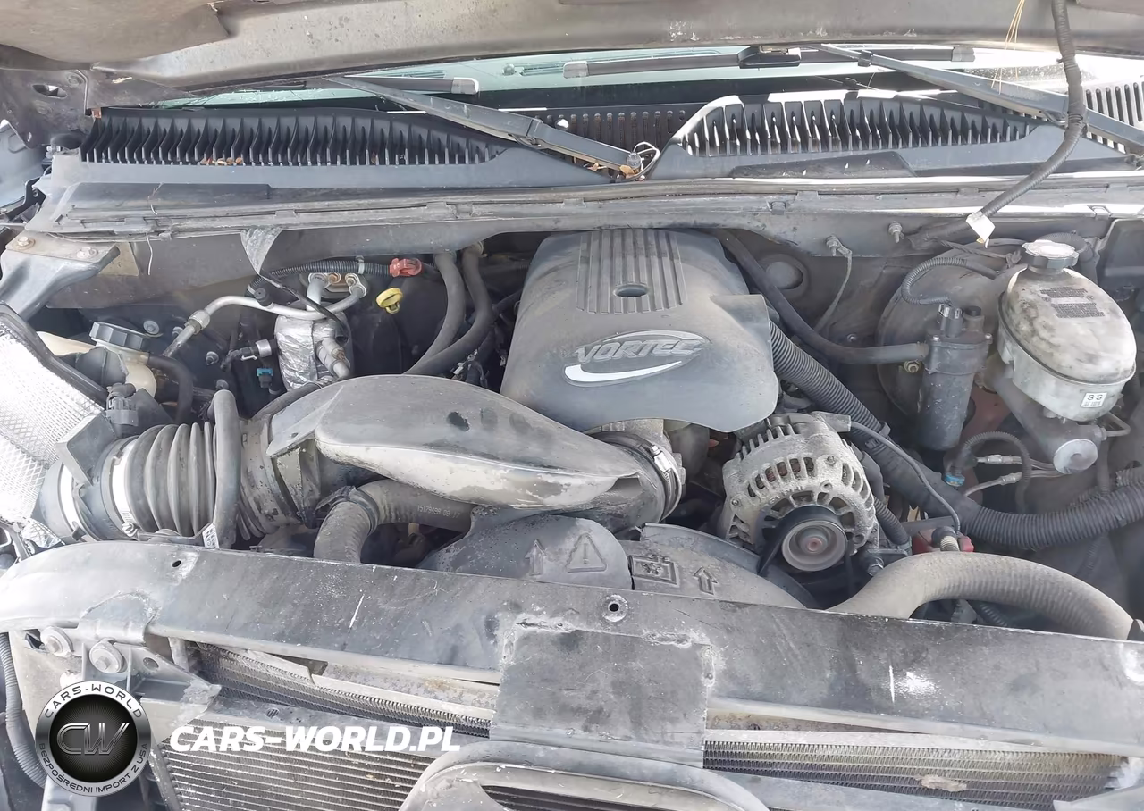 2003 Chevrolet Silverado 1500 Ls VIN:2GCEC19T831163777 - 10
