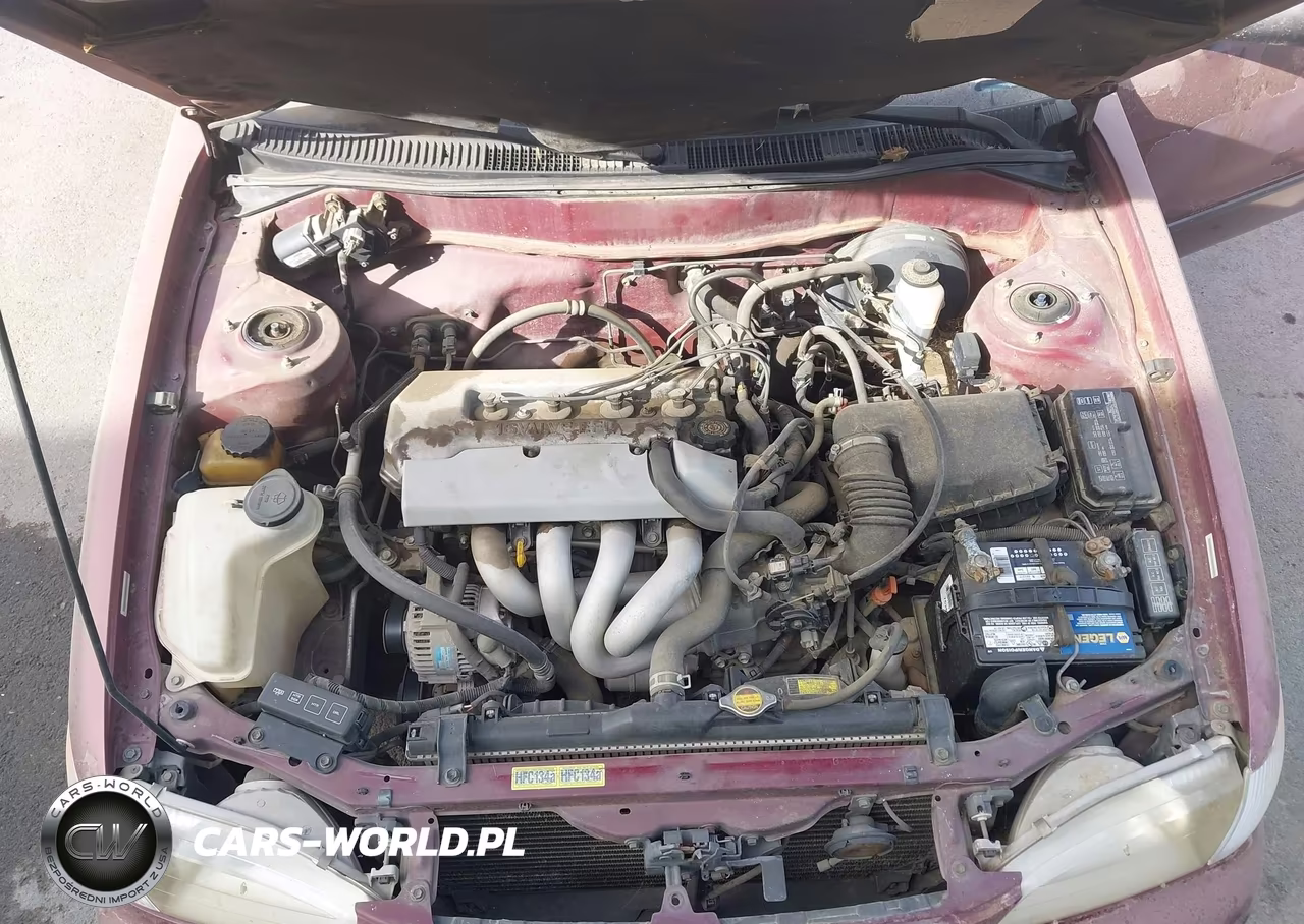 1998 Toyota Corolla Ce VIN:1NXBR12E8WZ004680 - 10