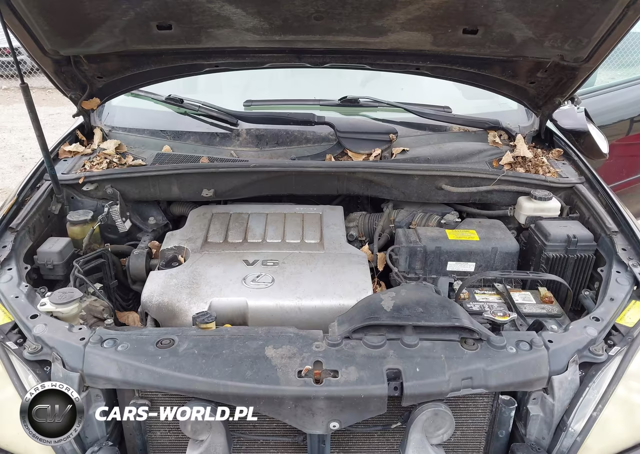 2008 Lexus Rx 350 VIN:2T2GK31U78C039547 - 10