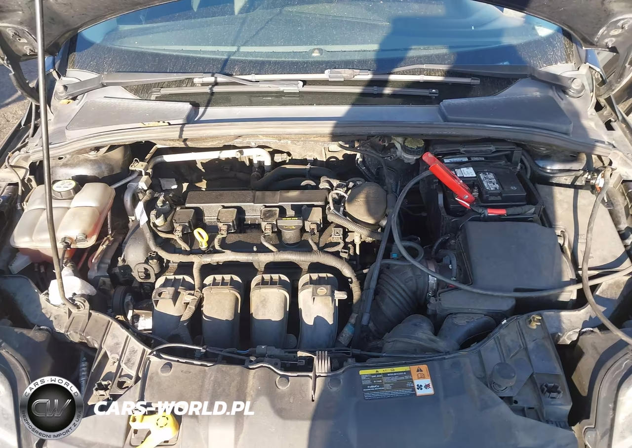 2013 Ford Focus Titanium VIN:1FADP3N23DL252117 - 10