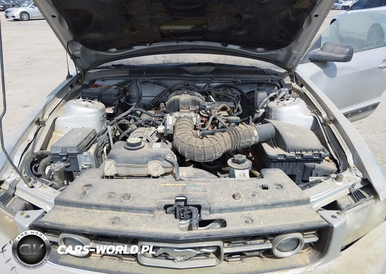 2009 Ford Mustang V6-V6 Premium VIN:1ZVHT80NX95119644 - 10