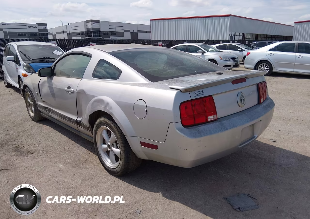 2009 Ford Mustang V6-V6 Premium VIN:1ZVHT80NX95119644 - 3
