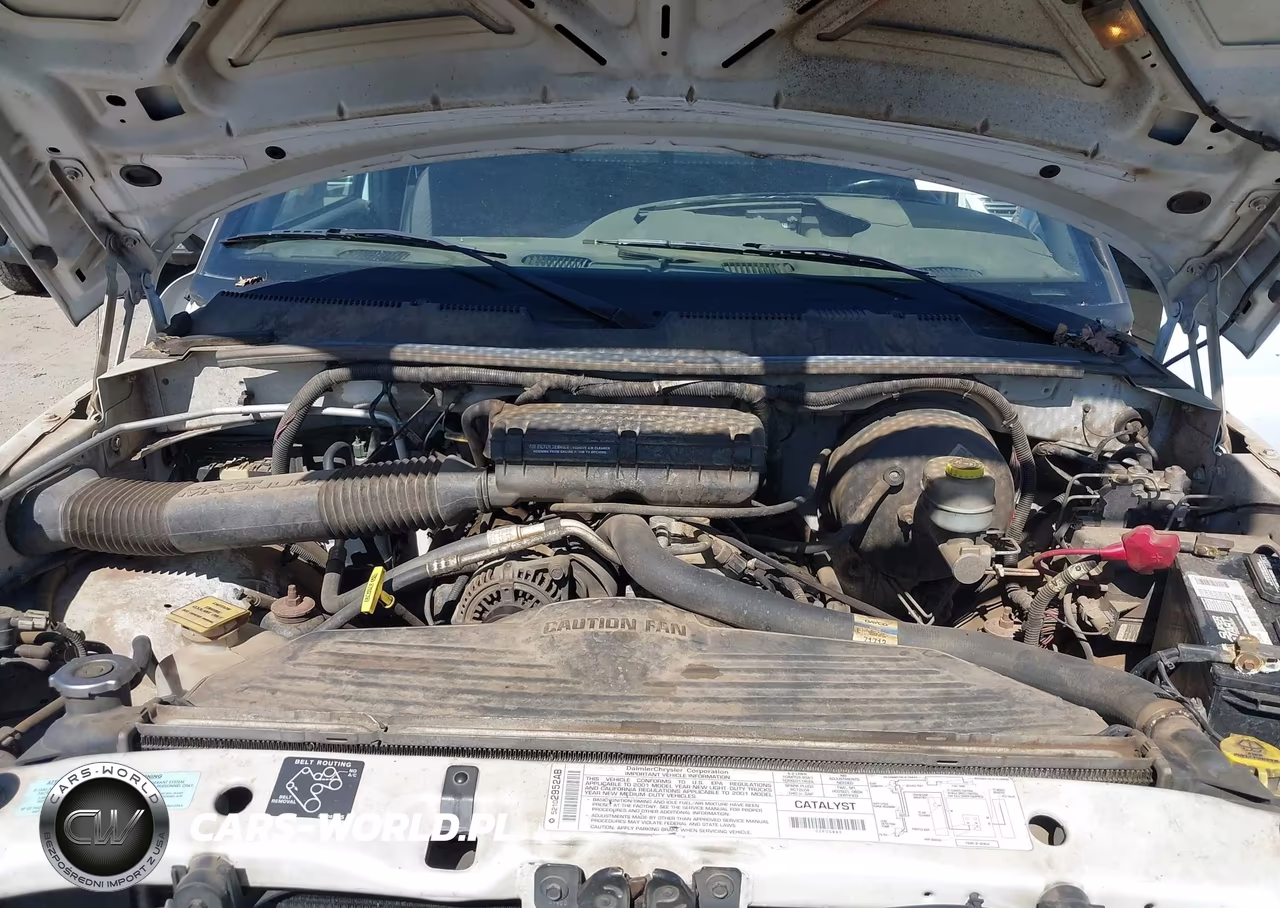 2001 Dodge Ram 1500 St VIN:1B7HF16Y41S301087 - 10