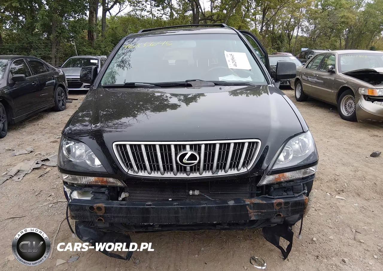 2003 Lexus Rx 300 VIN:JTJHF10U530293096 - 13