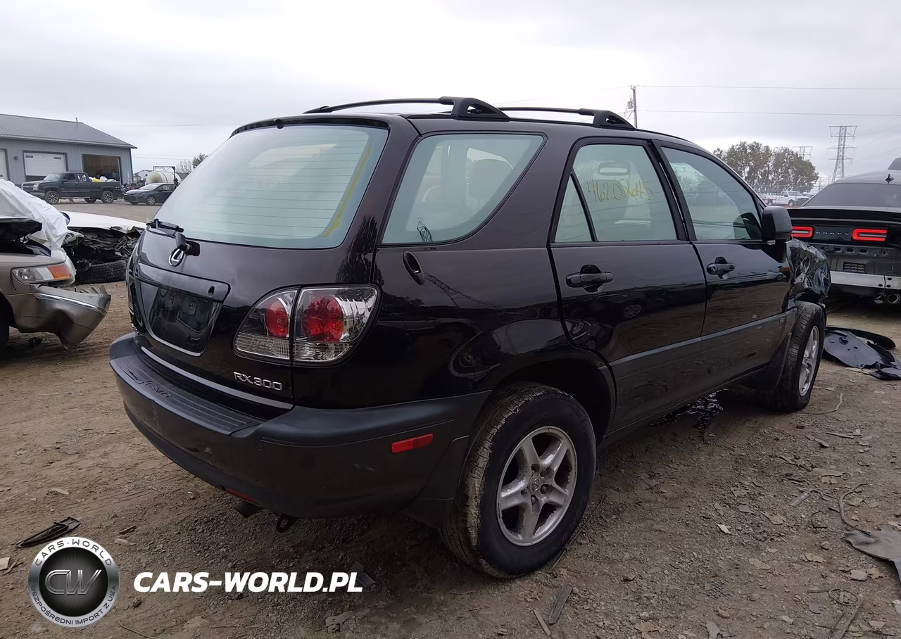 2003 Lexus Rx 300 VIN:JTJHF10U530293096 - 4