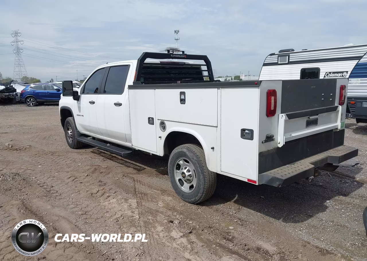 2023 Chevrolet Silverado 2500Hd 4Wd Long Bed Wt VIN:1GB1YLE70PF160668 - 3