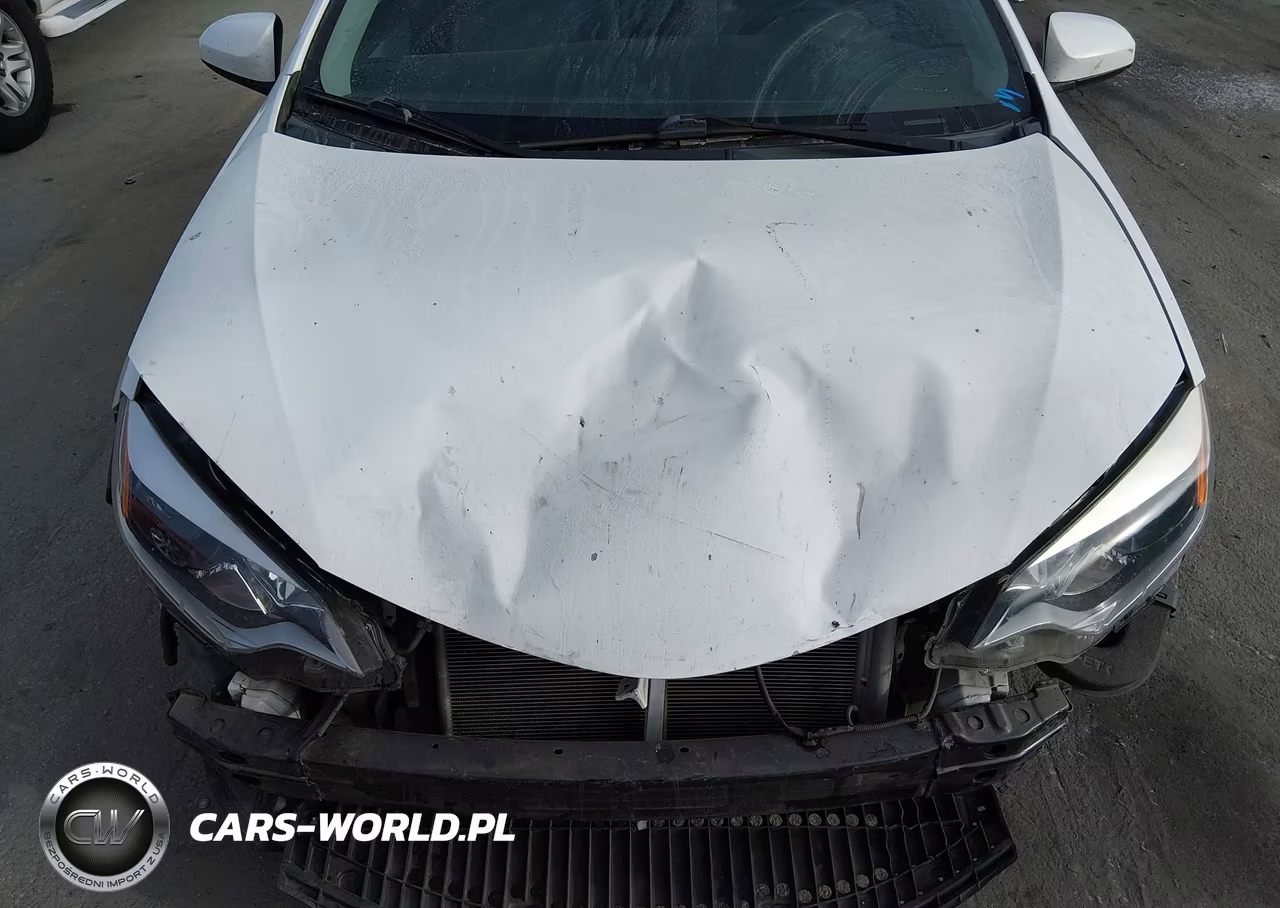 2016 Toyota Corolla Le VIN:5YFBURHE0GP556732 - 16