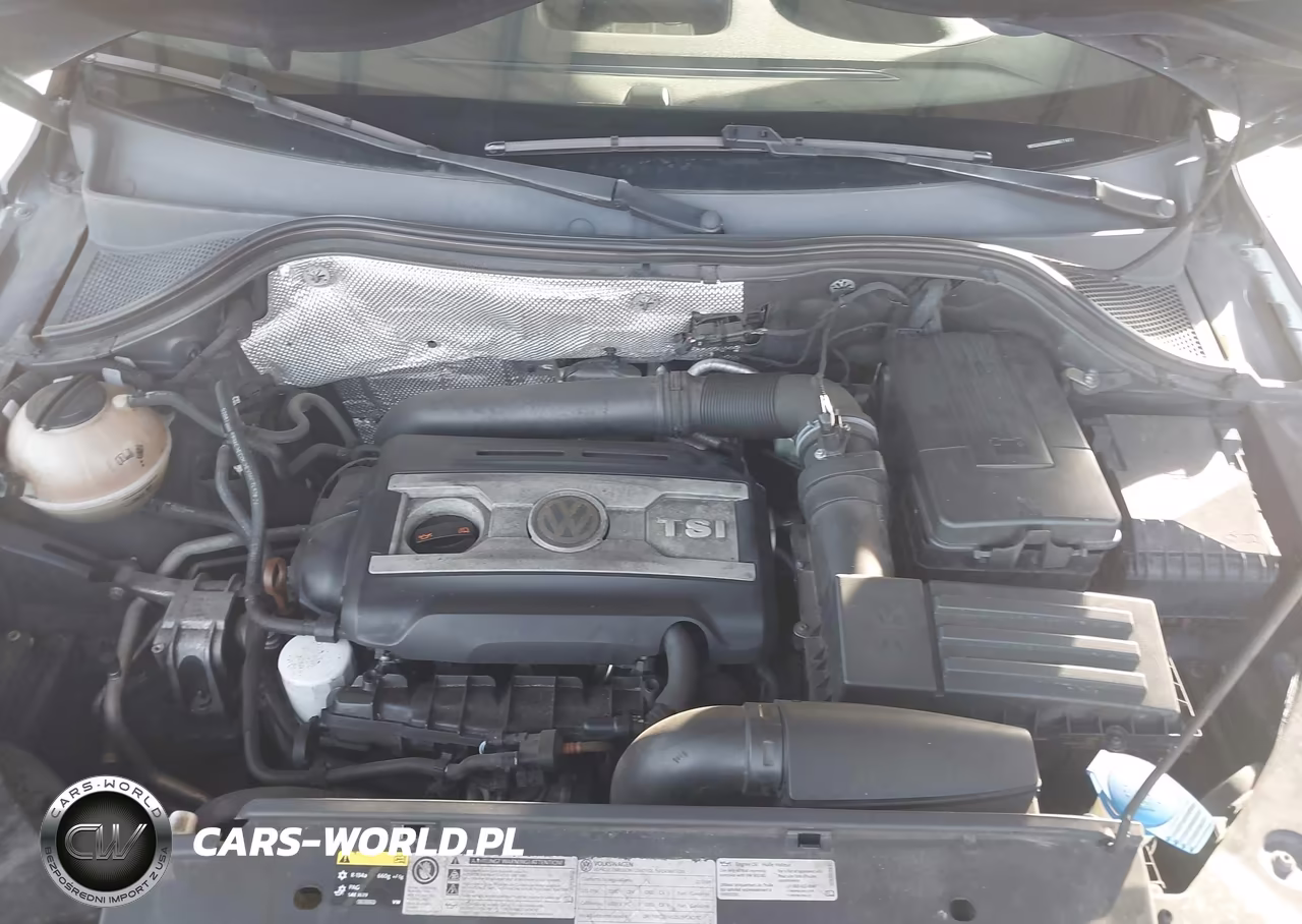 2013 Volkswagen Tiguan S W-Sunroof VIN:WVGAV3AX0DW571473 - 10