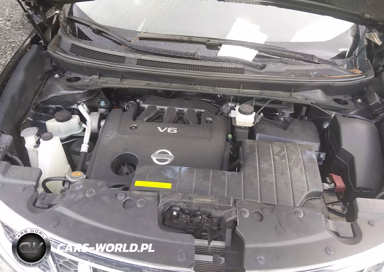2014 Nissan Murano Le VIN:JN8AZ1MU9EW400158 - 10