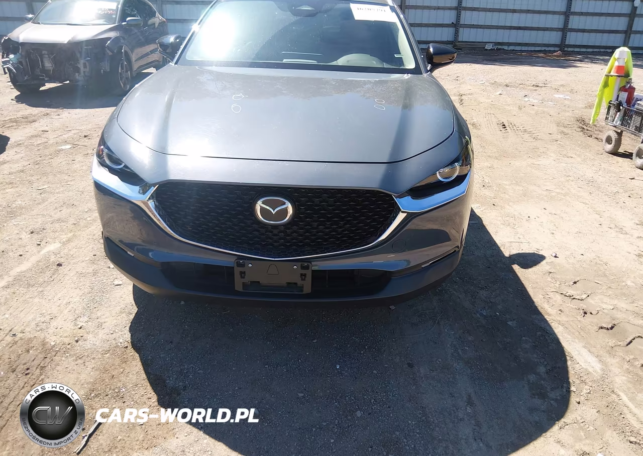 2025 Mazda Cx-30 2.5 S Carbon Edition VIN:3MVDMBCM5SM772735 - 12
