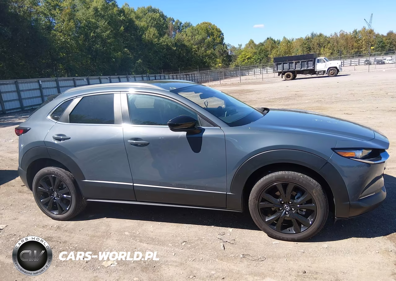 2025 Mazda Cx-30 2.5 S Carbon Edition VIN:3MVDMBCM5SM772735 - 13