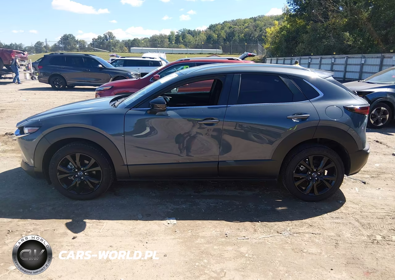 2025 Mazda Cx-30 2.5 S Carbon Edition VIN:3MVDMBCM5SM772735 - 14