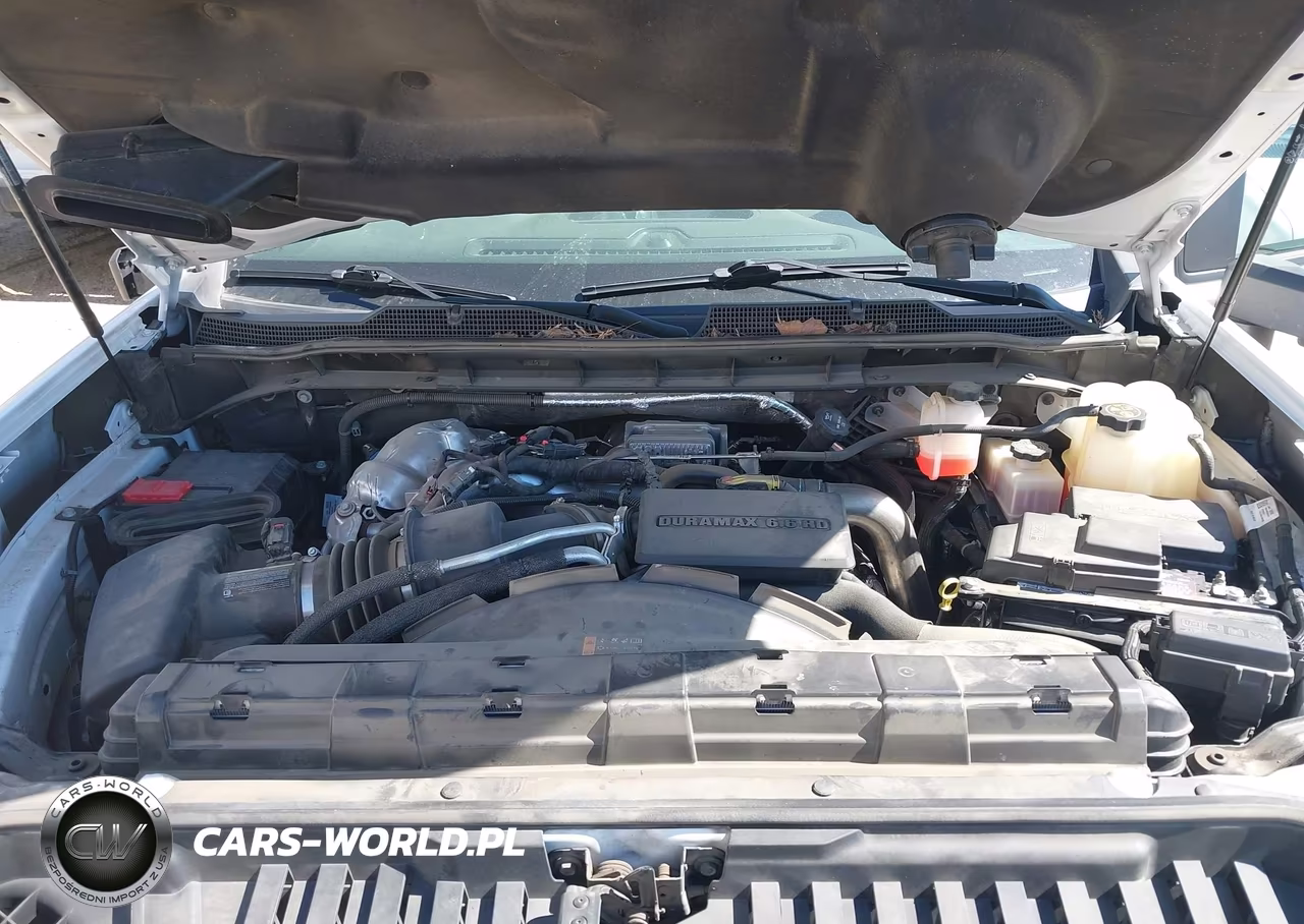 2023 Chevrolet Silverado 2500Hd 4Wd Long Bed Wt VIN:1GB5YLEY1PF211055 - 9