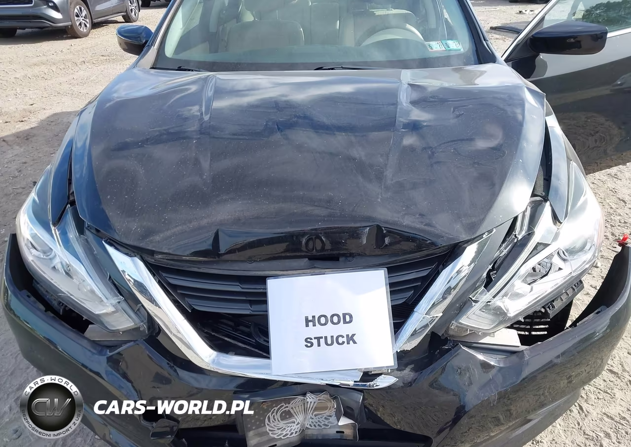 2017 Nissan Altima 2.5 S VIN:1N4AL3AP6HN355431 - 10