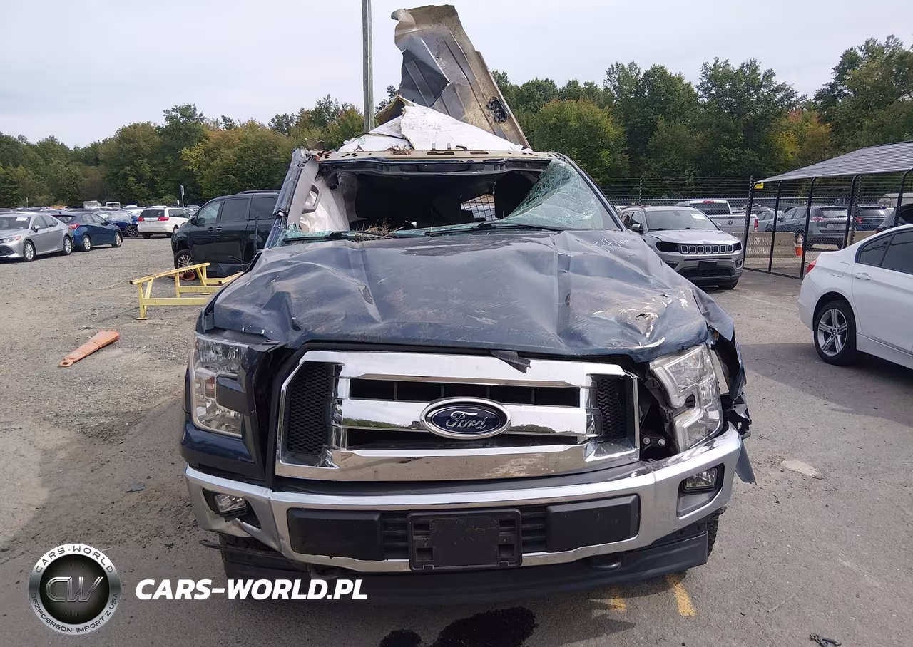 2017 Ford F-150 Xl VIN:1FTEX1E84HFA17897 - 12