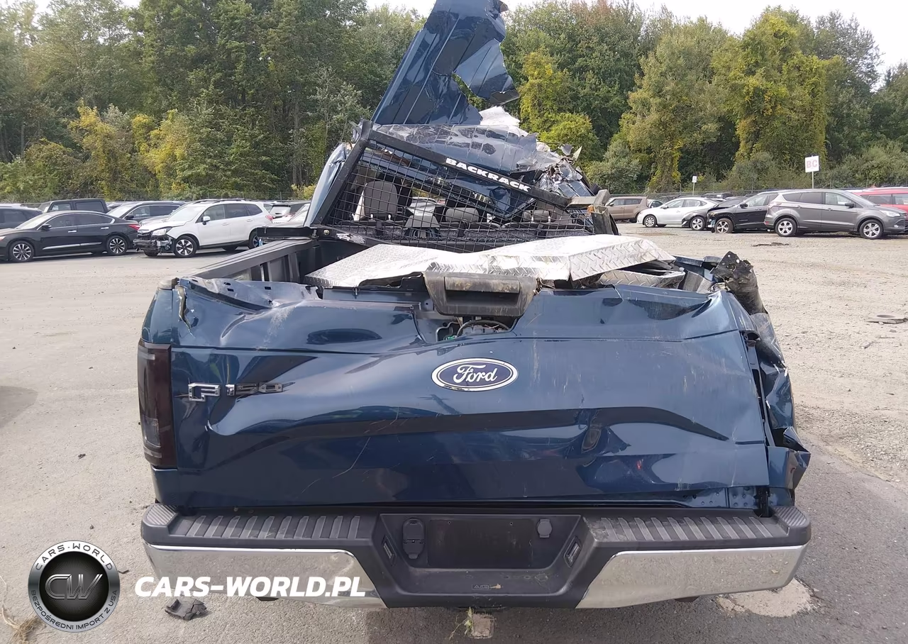 2017 Ford F-150 Xl VIN:1FTEX1E84HFA17897 - 16
