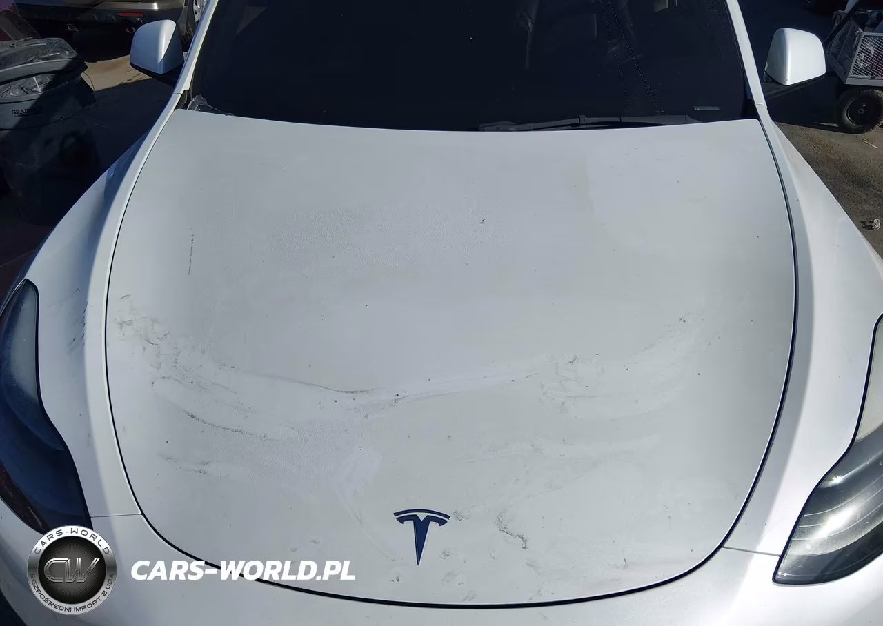 2022 Tesla Model Y Performance Dual Motor All-Wheel Drive VIN:7SAYGDEF4NF538456 - 10