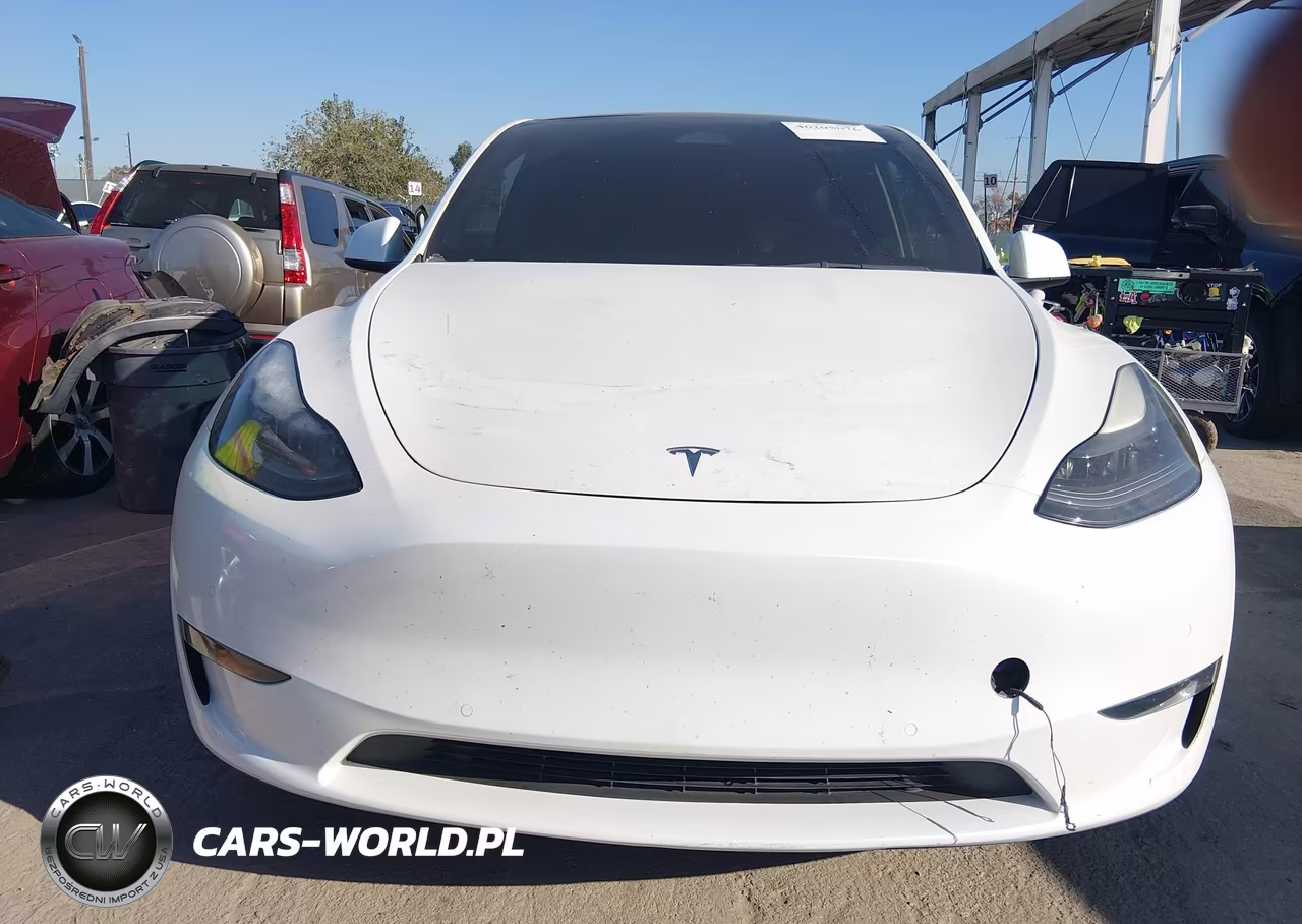 2022 Tesla Model Y Performance Dual Motor All-Wheel Drive VIN:7SAYGDEF4NF538456 - 11