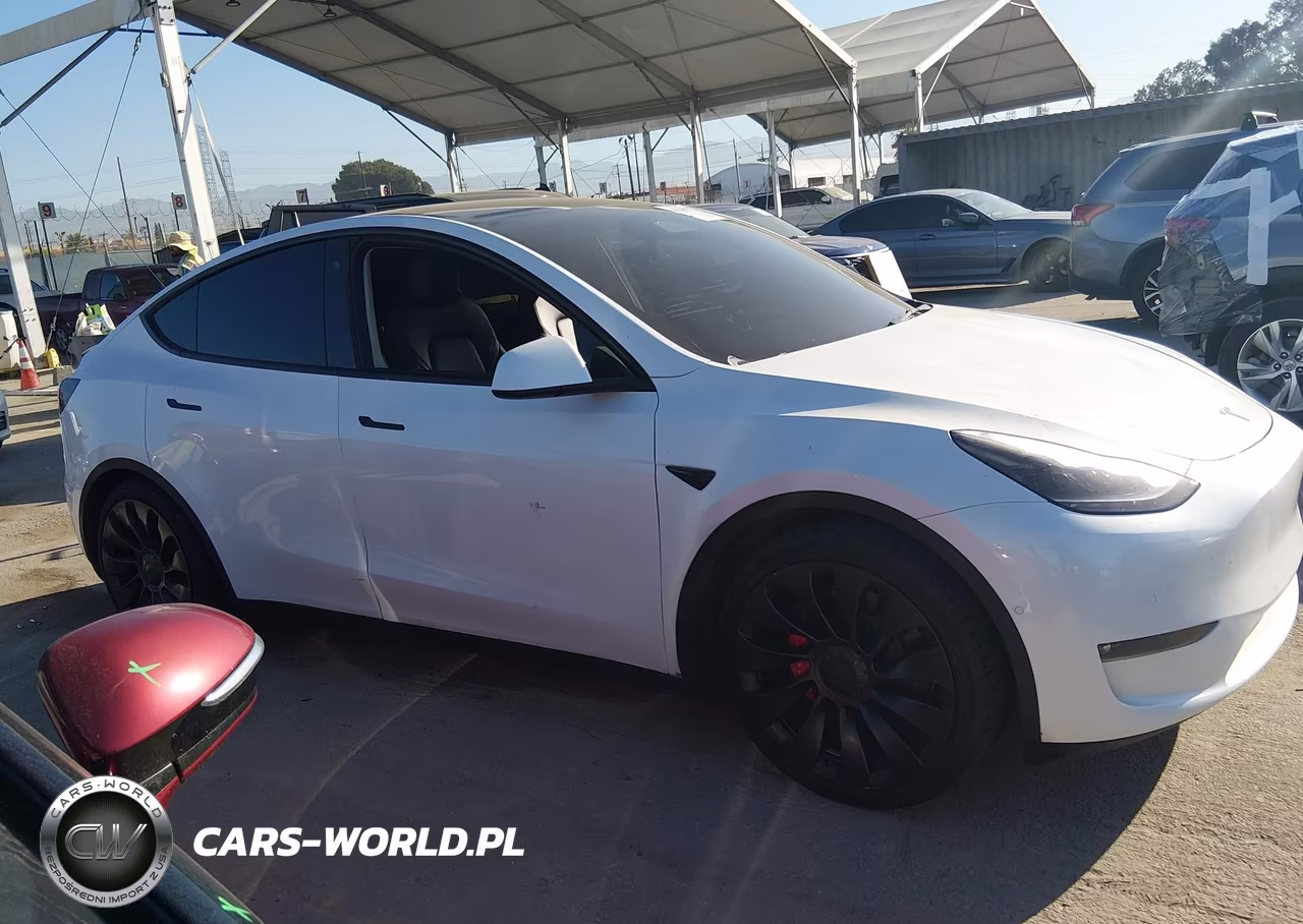 2022 Tesla Model Y Performance Dual Motor All-Wheel Drive VIN:7SAYGDEF4NF538456 - 12