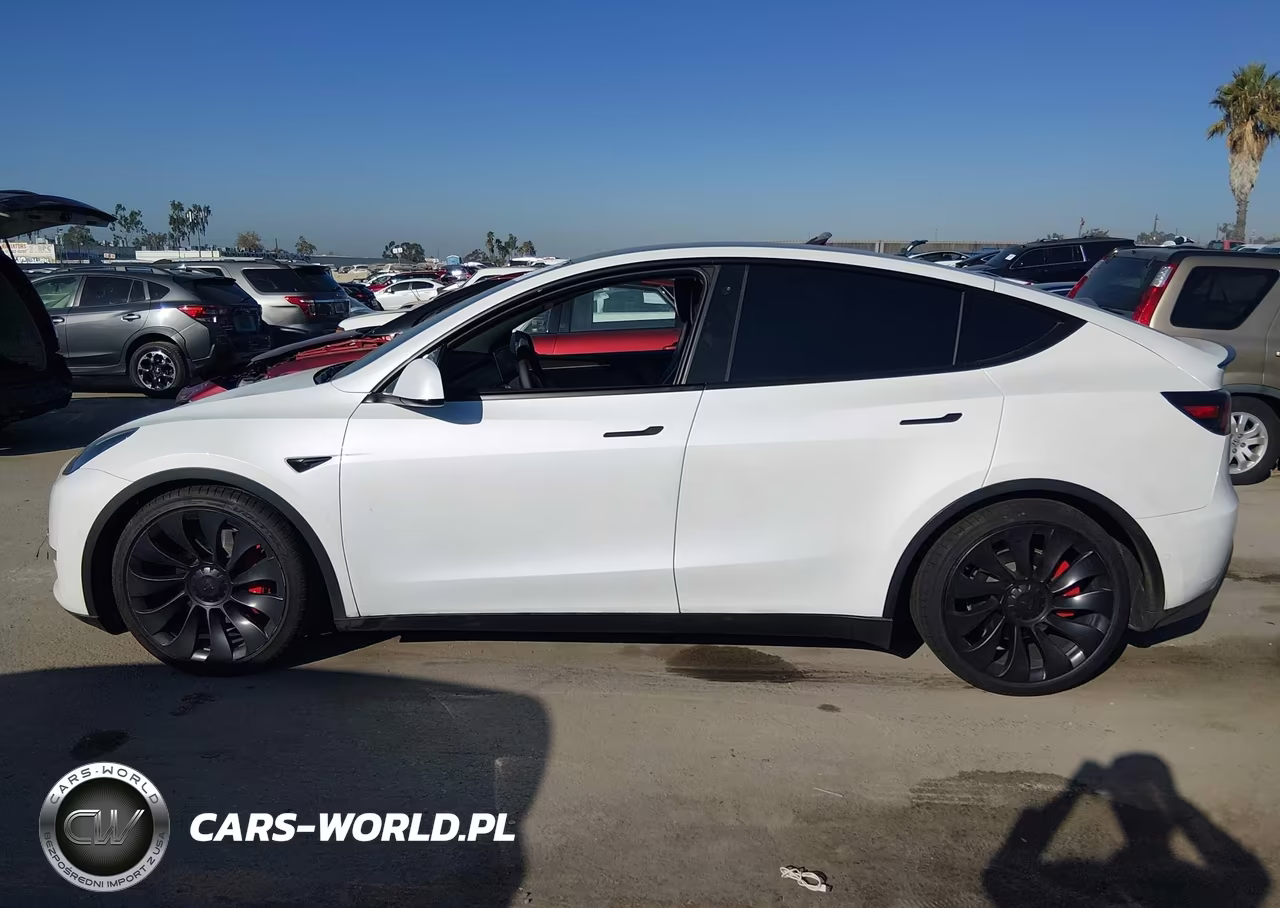 2022 Tesla Model Y Performance Dual Motor All-Wheel Drive VIN:7SAYGDEF4NF538456 - 13
