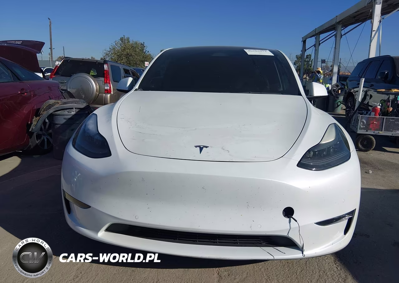 2022 Tesla Model Y Performance Dual Motor All-Wheel Drive VIN:7SAYGDEF4NF538456 - 6