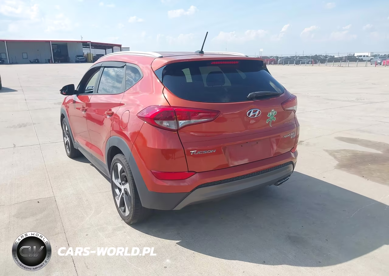 2016 Hyundai Tucson Sport VIN:KM8J3CA21GU152638 - 3