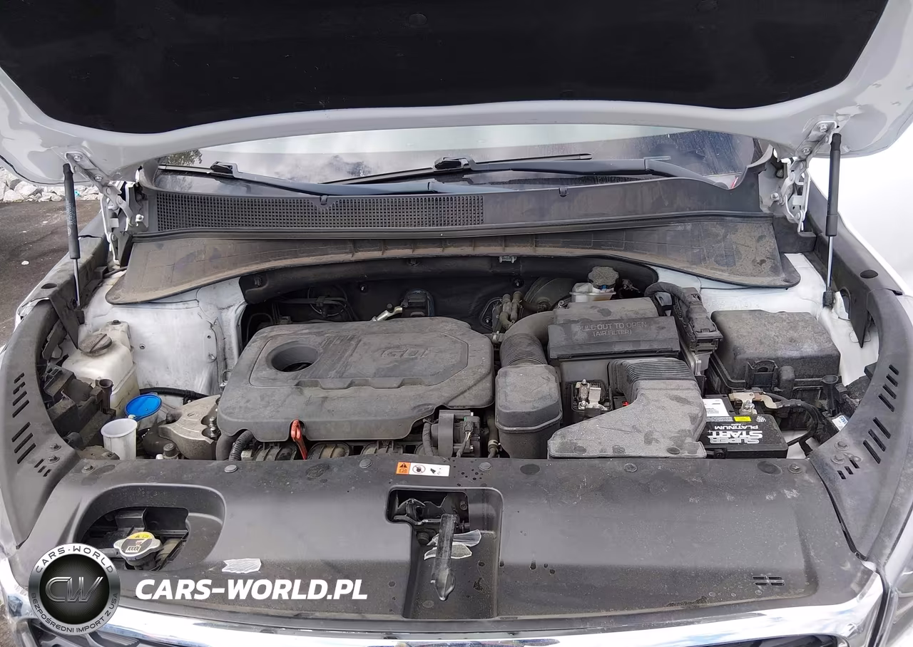 2019 Kia Sorento 2.4L Lx VIN:5XYPG4A34KG541897 - 10