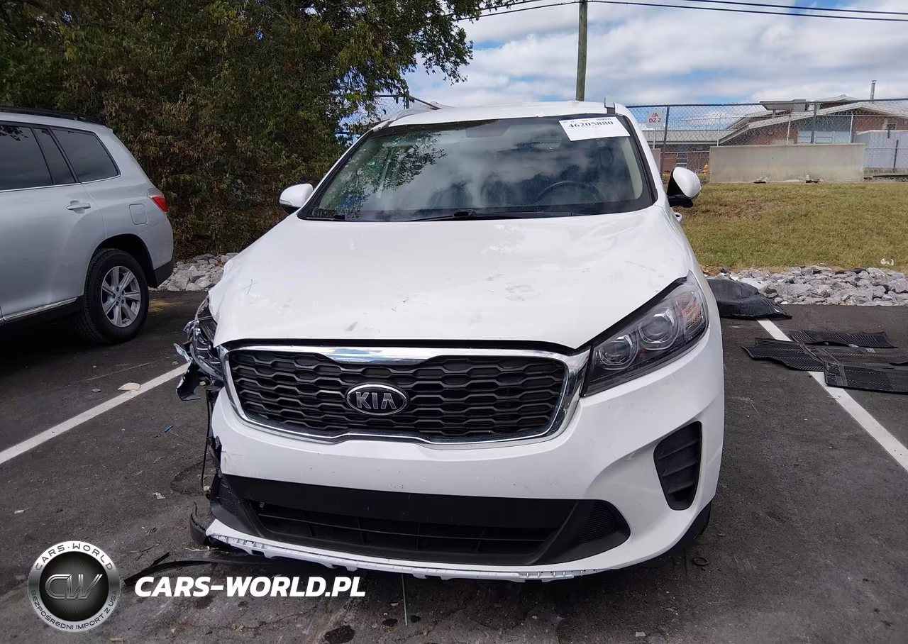 2019 Kia Sorento 2.4L Lx VIN:5XYPG4A34KG541897 - 12