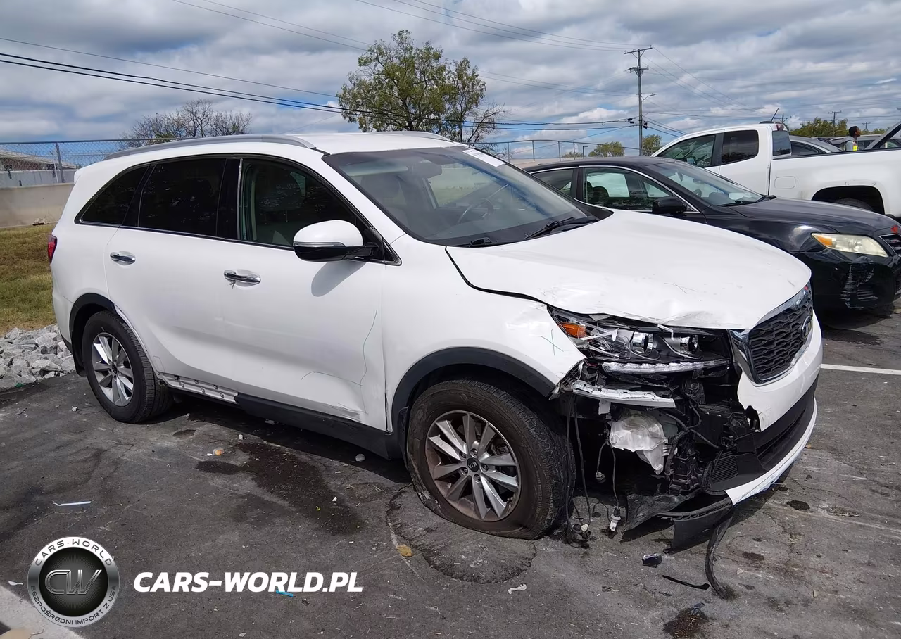 2019 Kia Sorento 2.4L Lx VIN:5XYPG4A34KG541897 - 13