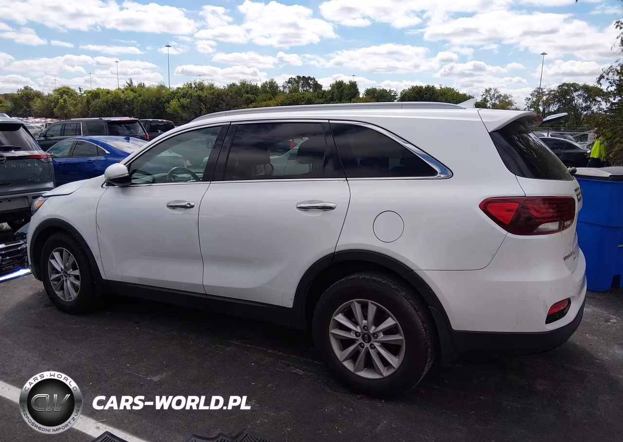 2019 Kia Sorento 2.4L Lx VIN:5XYPG4A34KG541897 - 14
