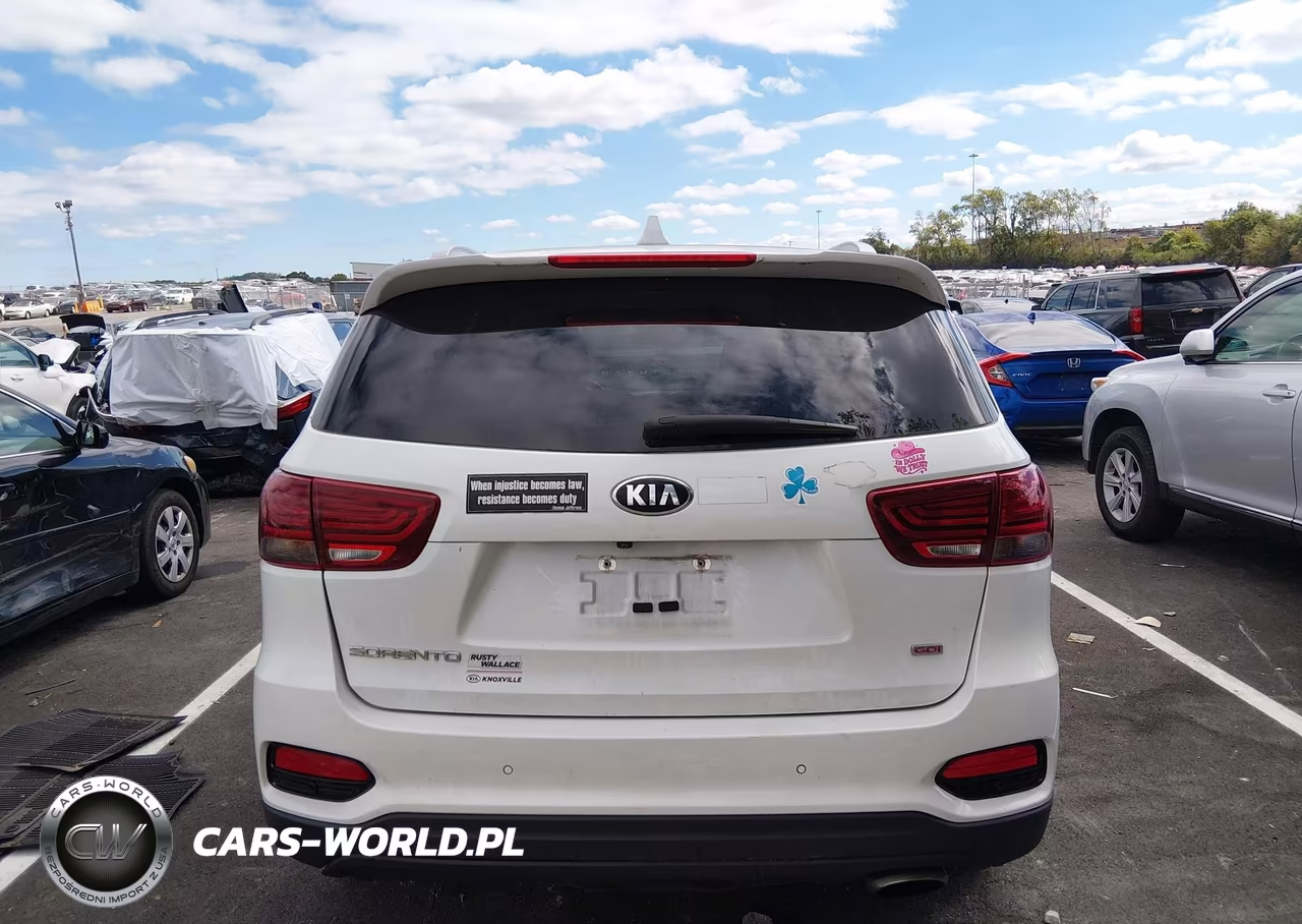 2019 Kia Sorento 2.4L Lx VIN:5XYPG4A34KG541897 - 16