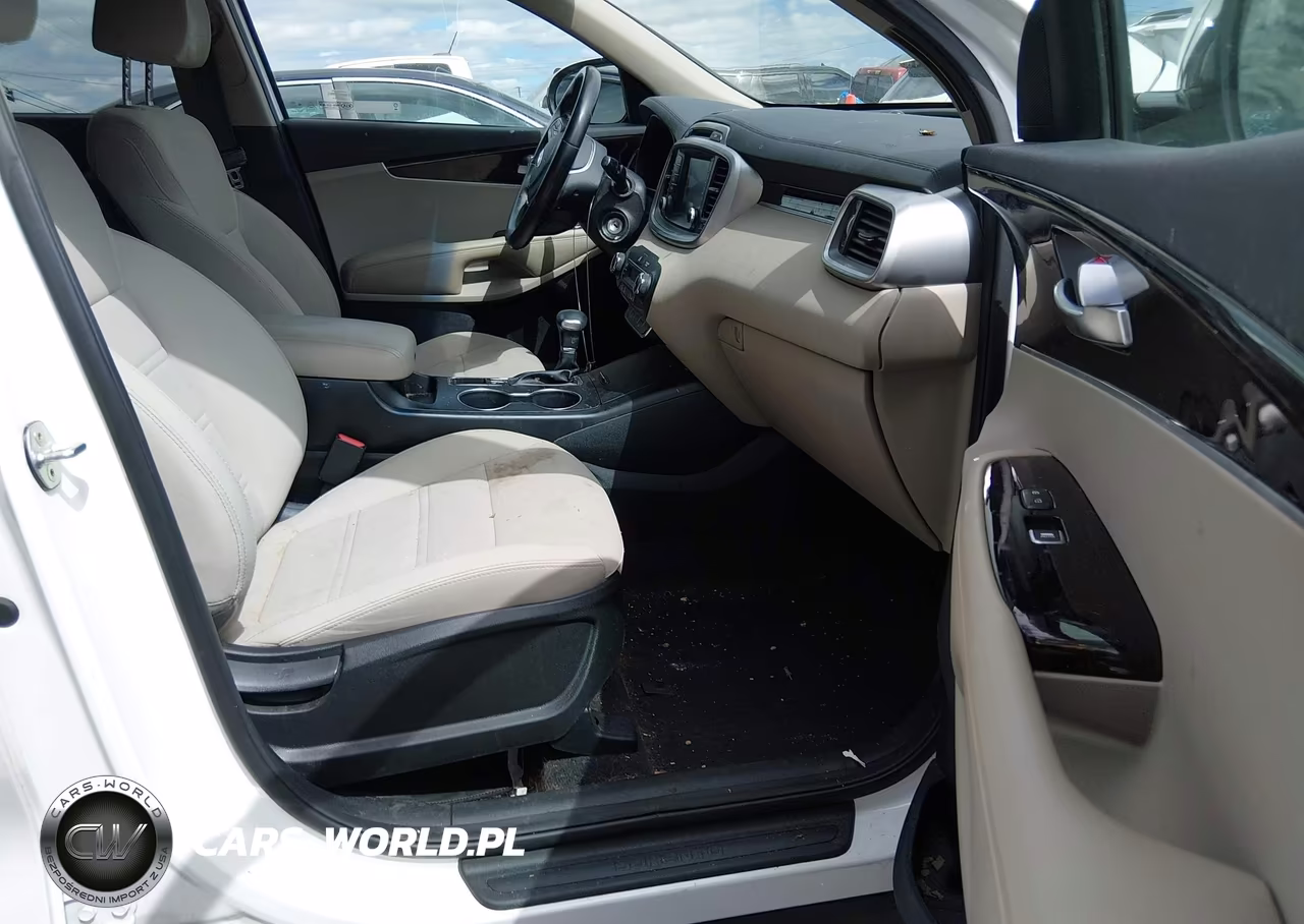 2019 Kia Sorento 2.4L Lx VIN:5XYPG4A34KG541897 - 5