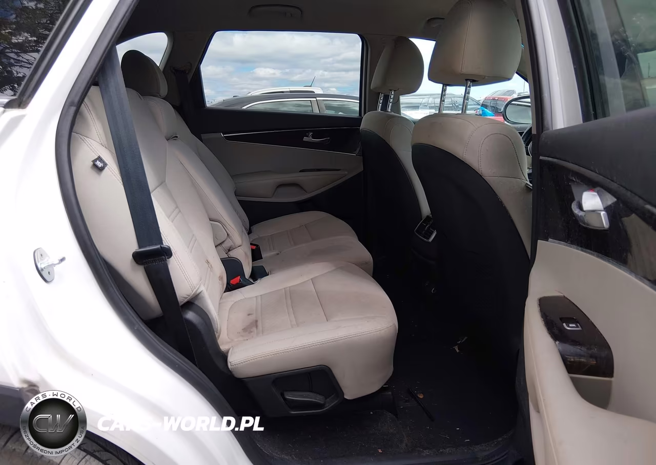 2019 Kia Sorento 2.4L Lx VIN:5XYPG4A34KG541897 - 8