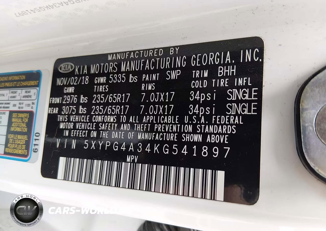2019 Kia Sorento 2.4L Lx VIN:5XYPG4A34KG541897 - 9