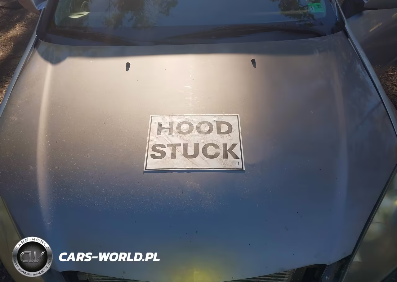 2006 Acura Rsx VIN:JH4DC54866S001400 - 10