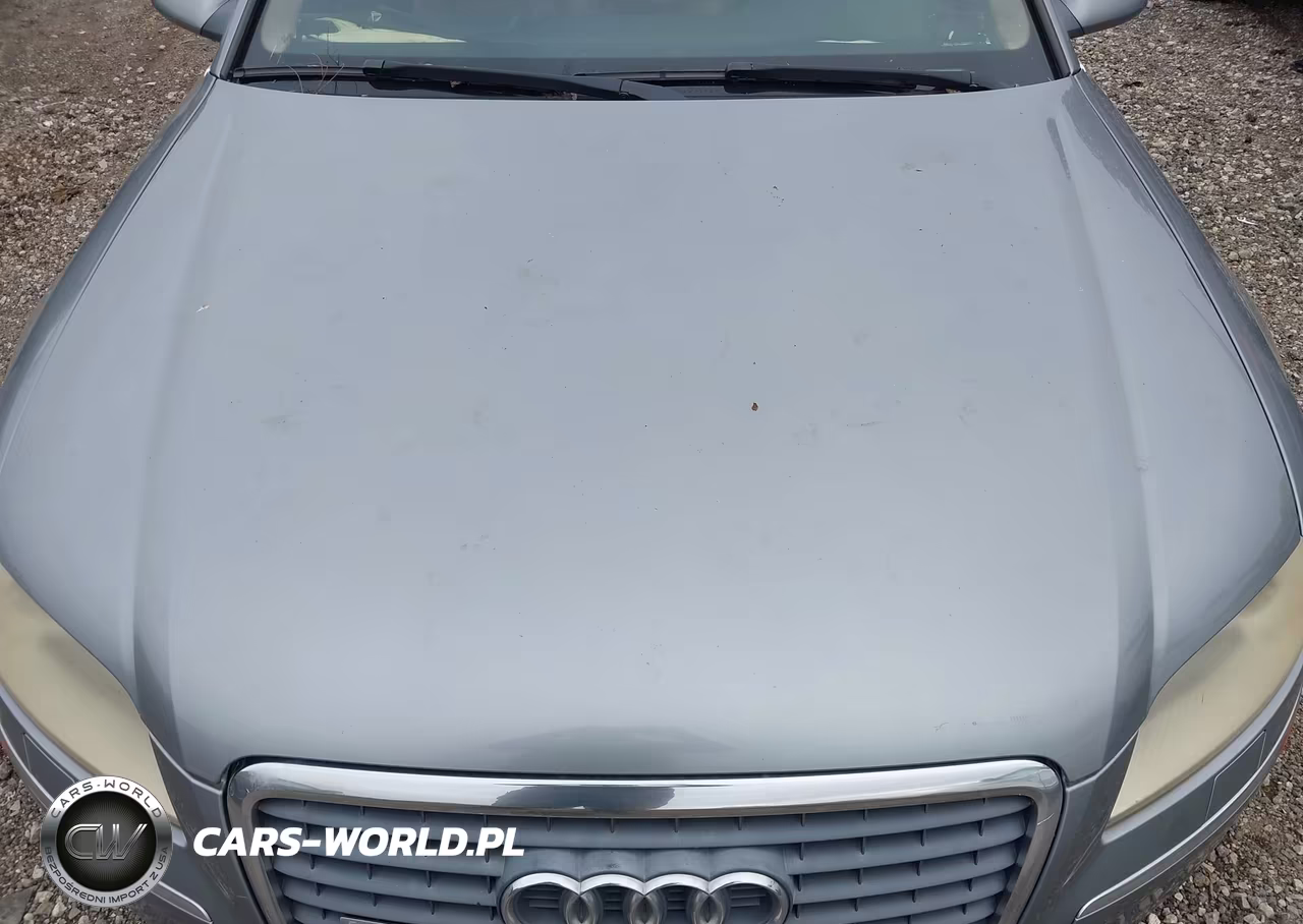 2007 Audi A8 L 4.2 VIN:WAUMV44E77N000524 - 10