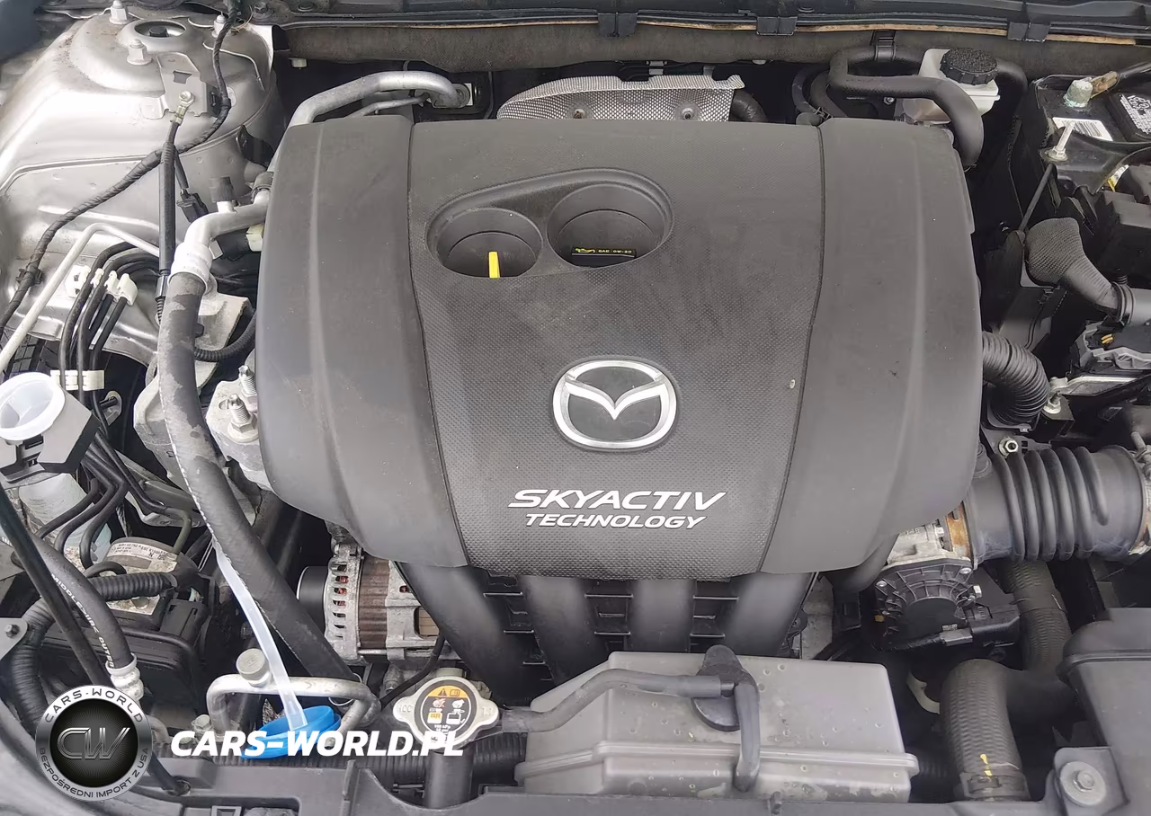 2015 Mazda Mazda3 I Sport VIN:JM1BM1U75F1223129 - 10