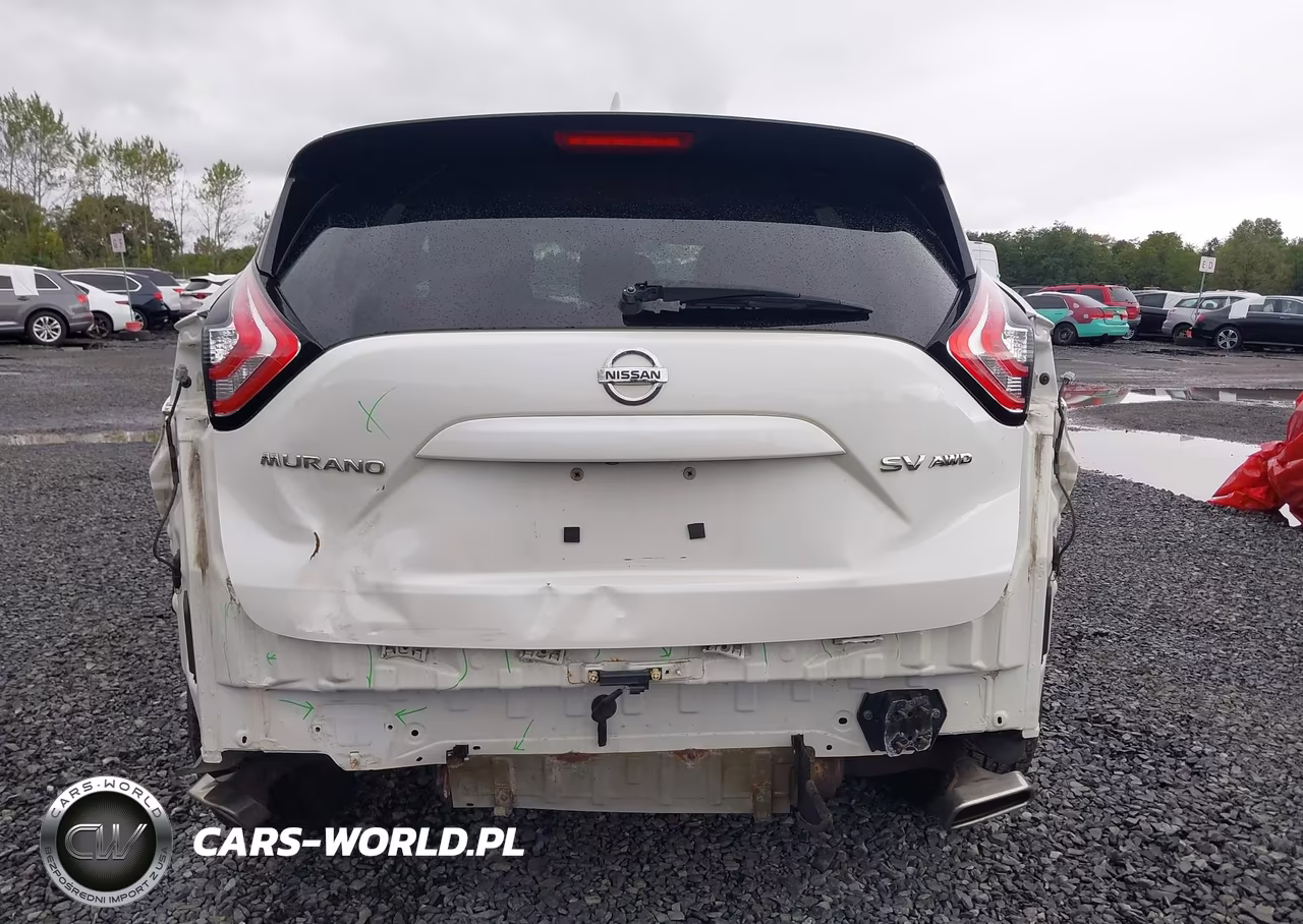 2017 Nissan Murano Sv VIN:5N1AZ2MH2HN118079 - 16
