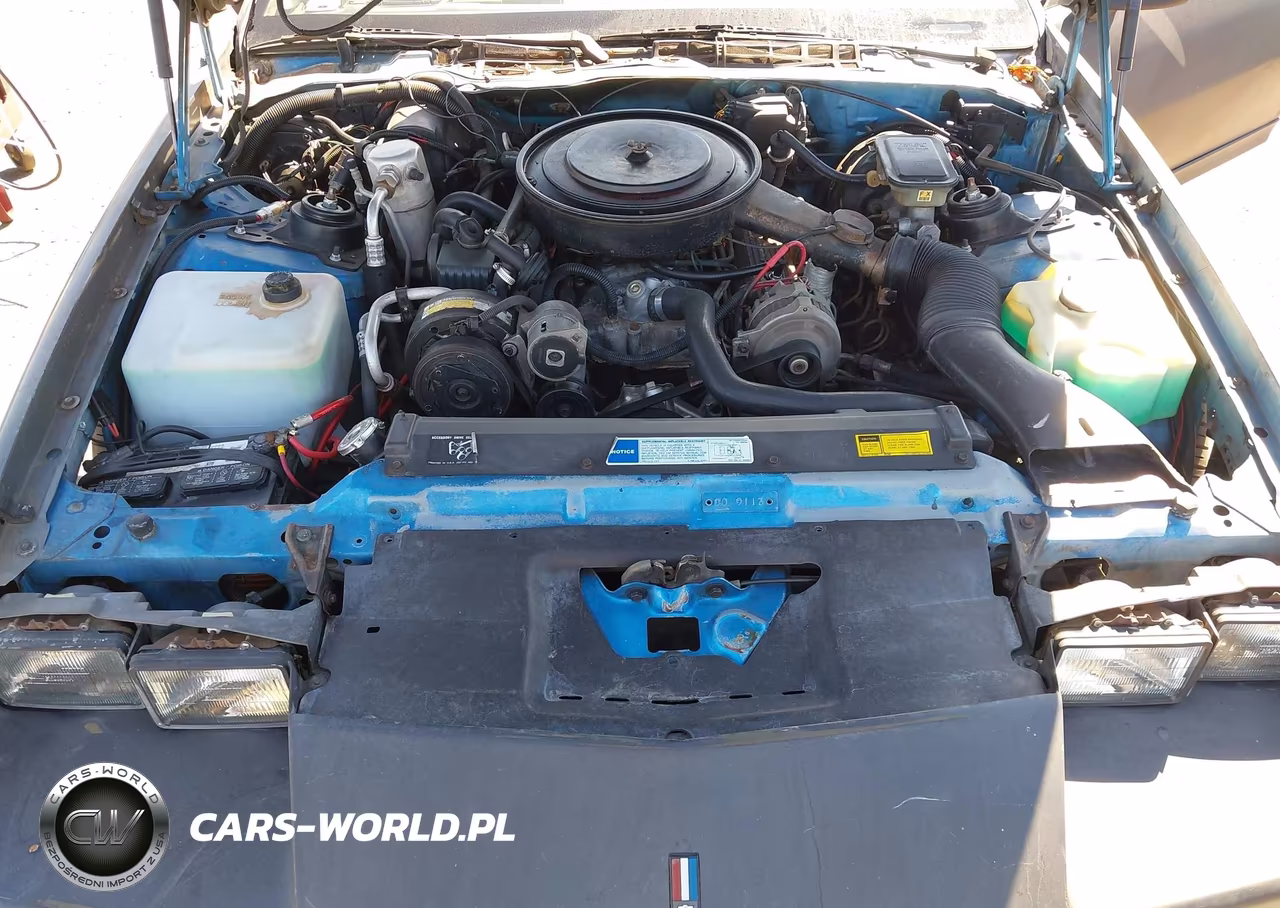 1989 Chevrolet Camaro VIN:1G1FP21E4KL105338 - 10