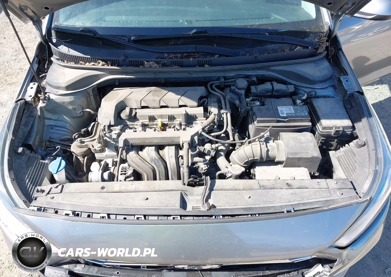 2021 Hyundai Complementos Decorativos Se VIN:3KPC24A60ME137213 - 10